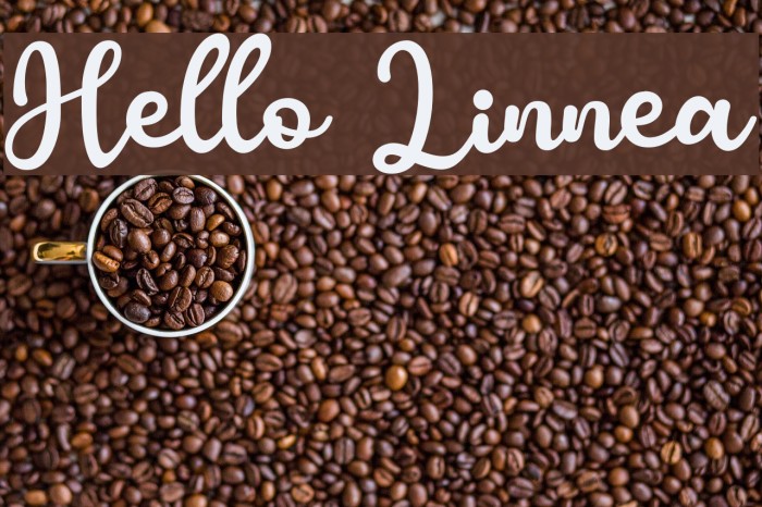 Hello Linnea Font - FFonts.net