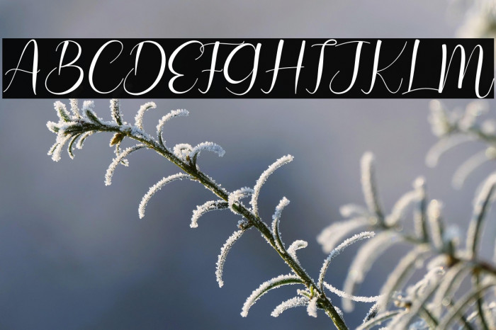 Hello Love Example 1