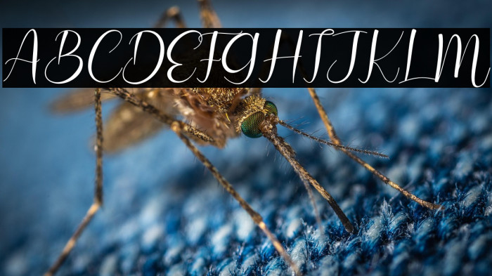 Hello Love Example 3