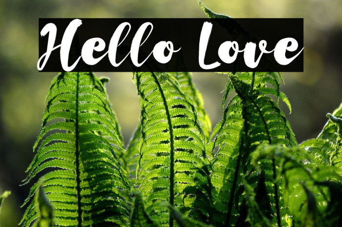 Hello Love Example 1