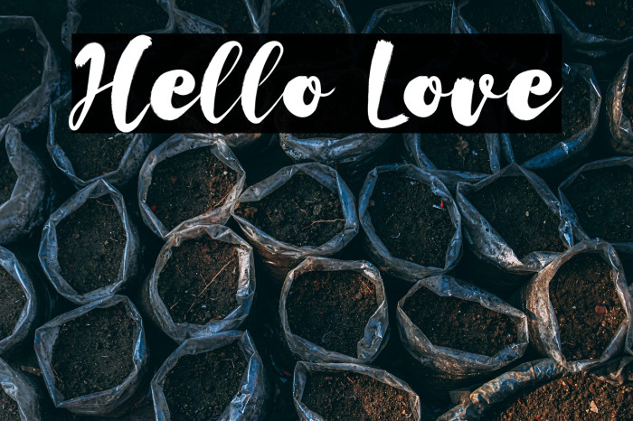 Hello Love Example 2