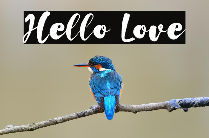 Hello Love Example 3