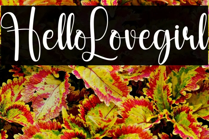 Hello Lovegirl Example 1