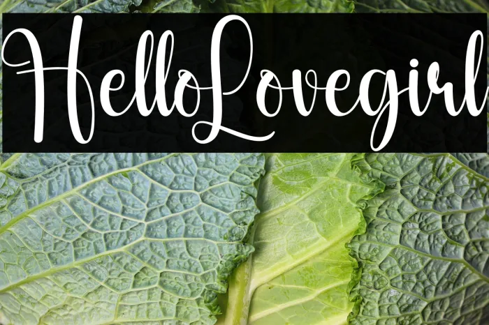 Hello Lovegirl Example 3