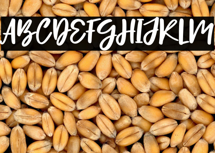 Hello Lovely - Personal Use Example 1