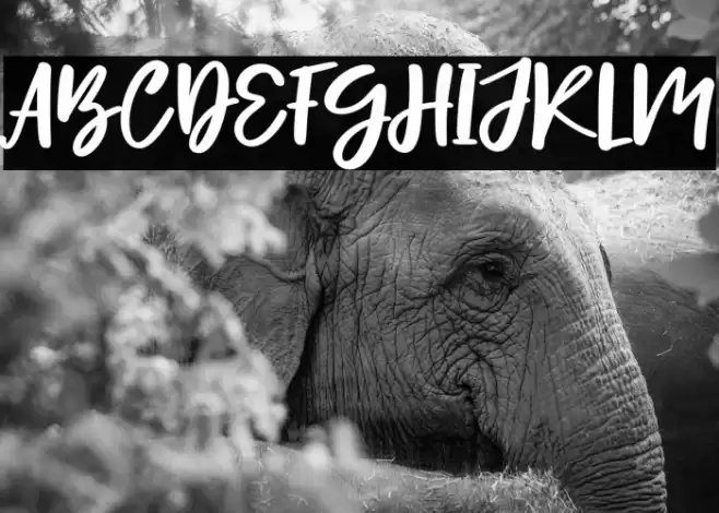 Hello Lovely - Personal Use Font examples