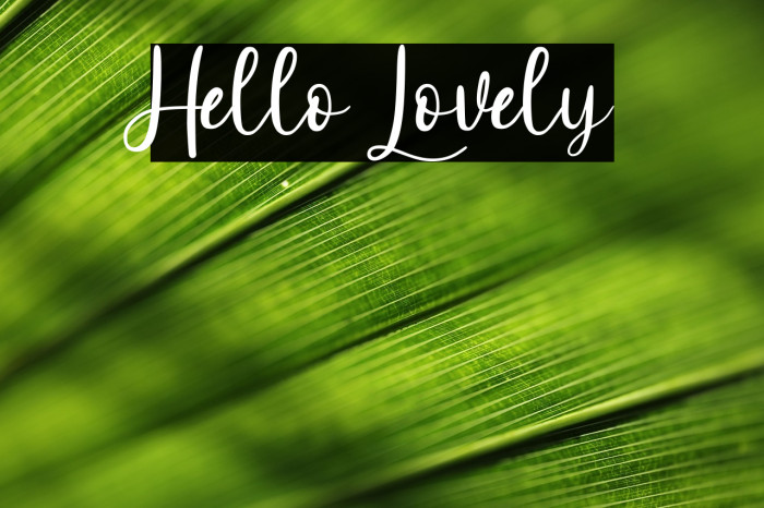 Hello Lovely Example 2