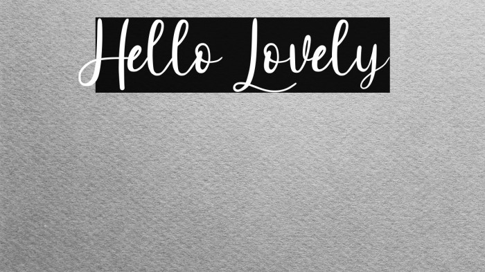 Hello Lovely Example 3