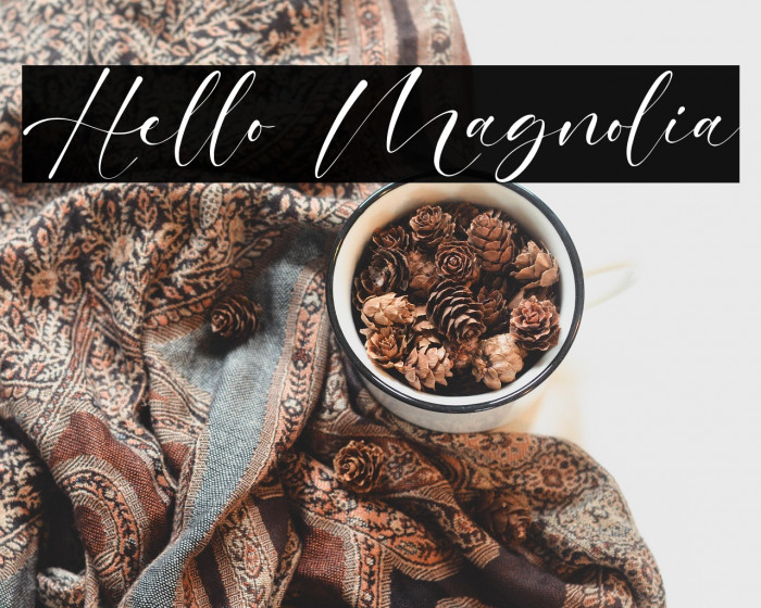 Hello Magnolia Example 1