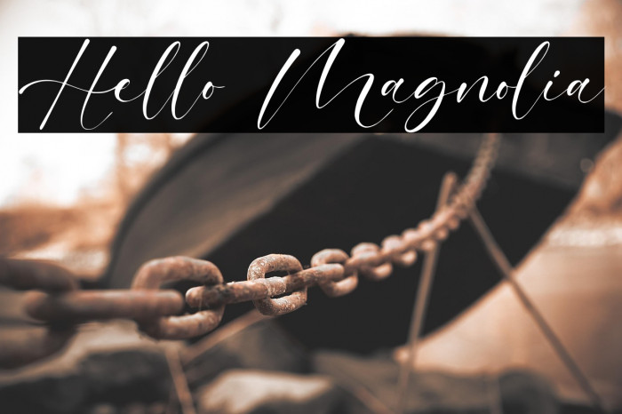 Hello Magnolia Example 2