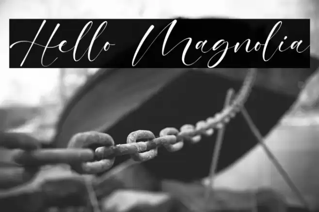 Hello Magnolia Font examples