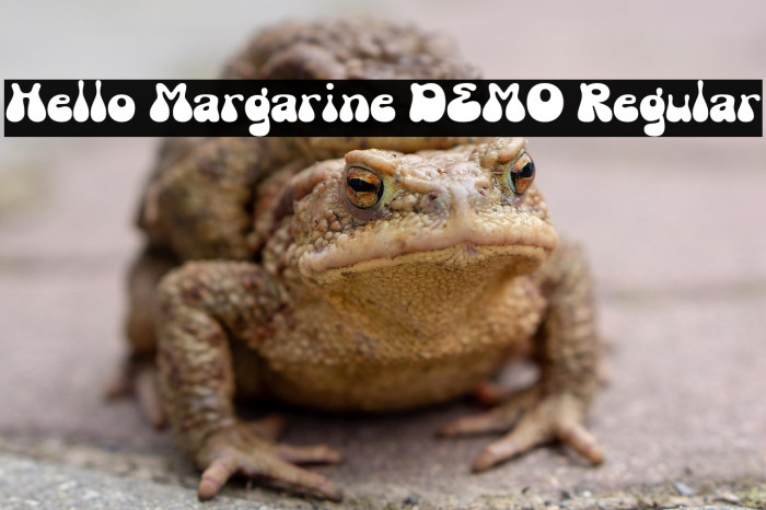 Hello Margarine DEMO Regular フォント examples