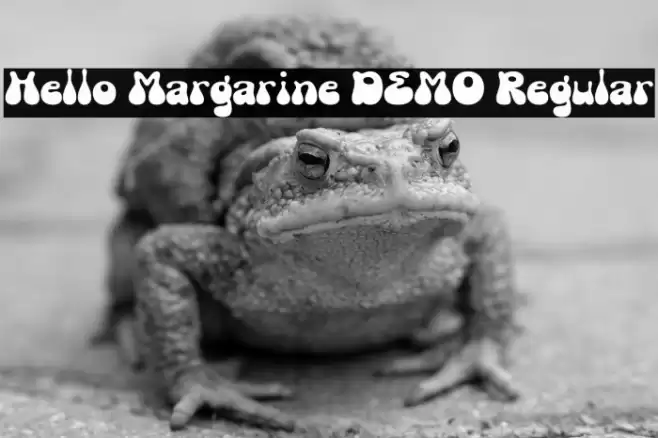 Hello Margarine DEMO Regular Schriftart examples