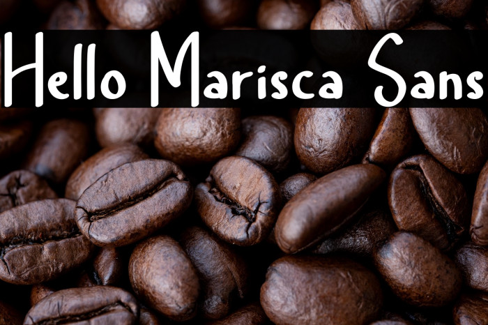 Hello Marisca Sans Example 2