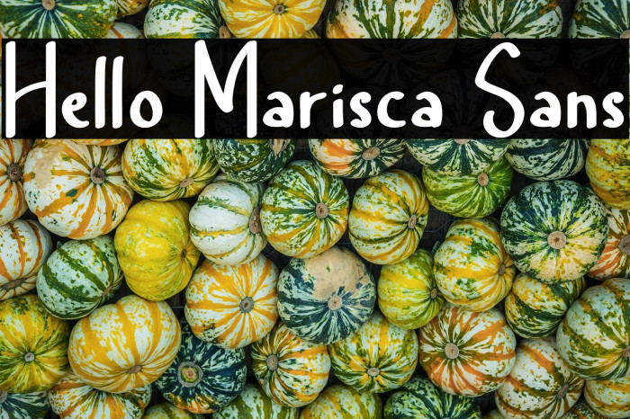 Hello Marisca Sans Example 3