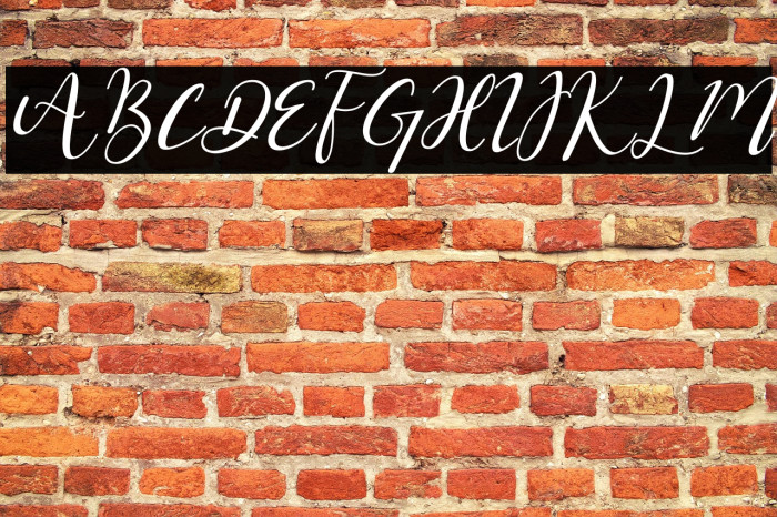 Hello Masha Italic Example 2