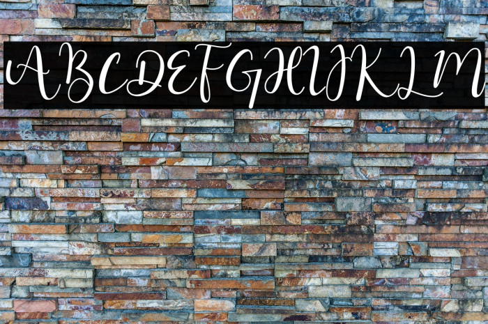 Hello Masha Example 2