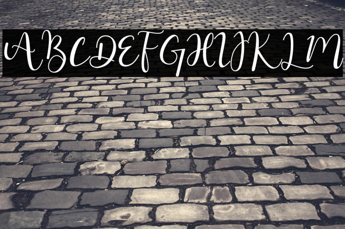 Hello Masha Example 3