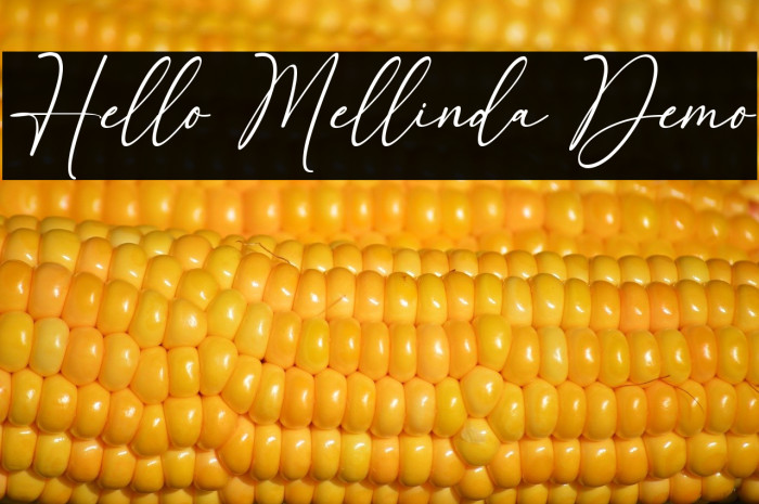 Hello Mellinda Demo Example 1