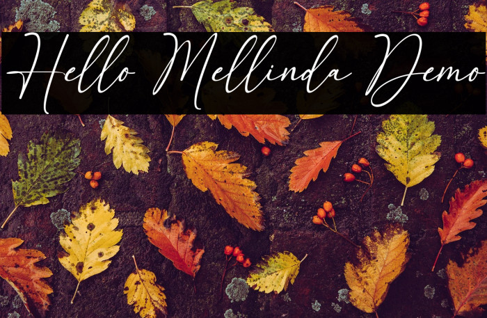 Hello Mellinda Demo Example 3