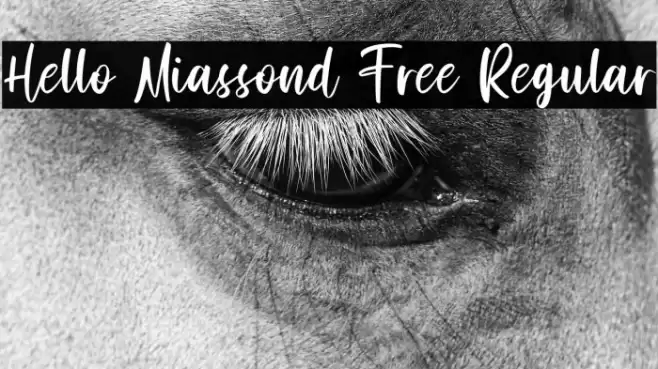 Hello Miassond Free Regular Font examples
