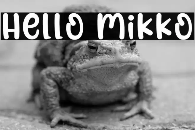 Hello Mikko Font examples