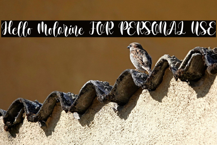 Hello Molarine FOR PERSONAL USE Example 1