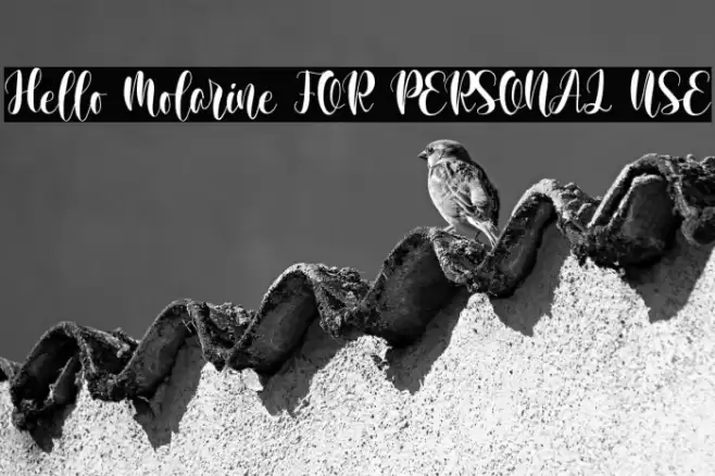 Hello Molarine FOR PERSONAL USE Font examples