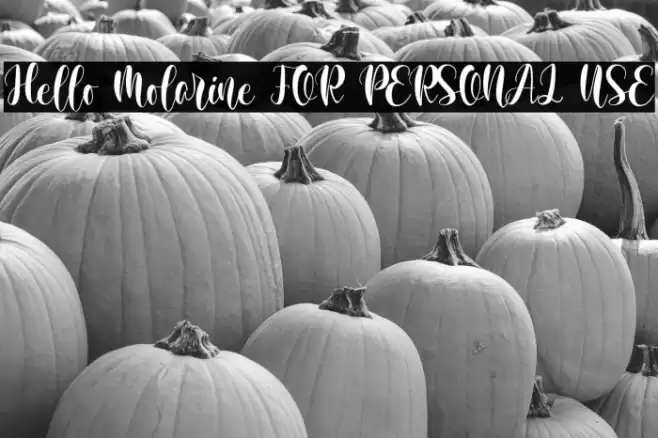 Hello Molarine FOR PERSONAL USE Font examples