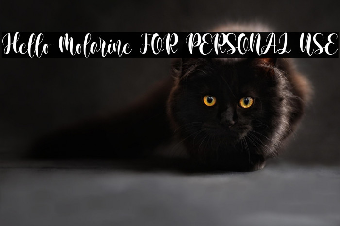 Hello Molarine FOR PERSONAL USE Example 3