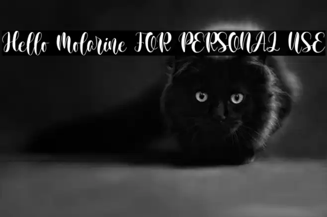 Hello Molarine FOR PERSONAL USE Font examples