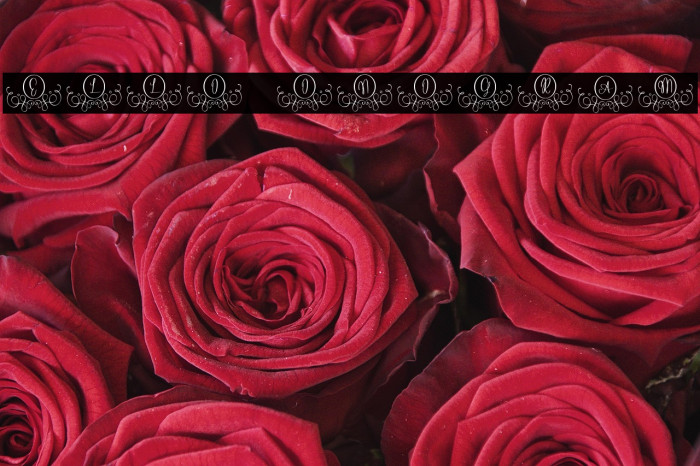 Hello Monogram Example 3