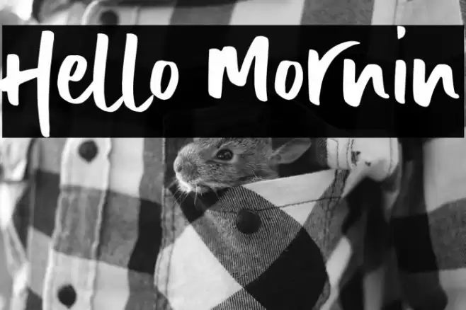 Hello Mornin Font examples