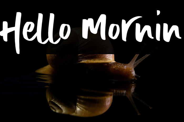 Hello Mornin Example 2