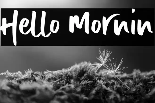 Hello Mornin Font examples