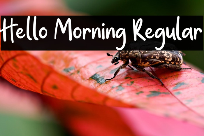 Hello Morning Regular Example 2