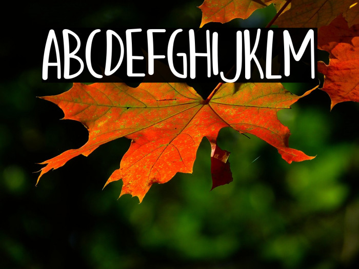 Hello Mozza Example 2