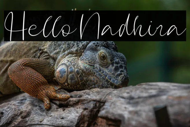 Hello Nadhira Example 1