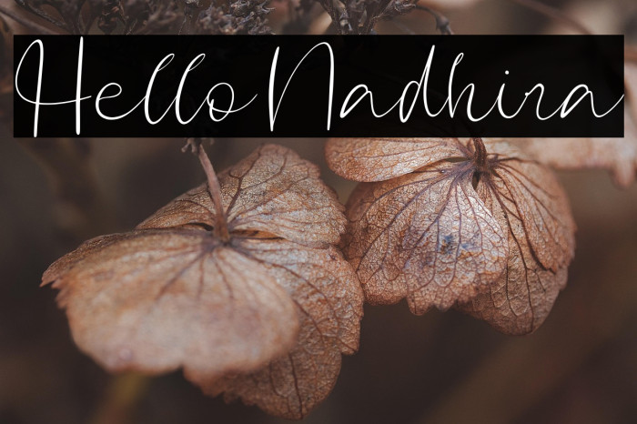 Hello Nadhira Example 2