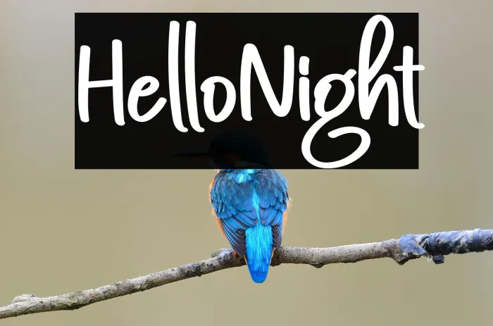 Hello Night Example 1