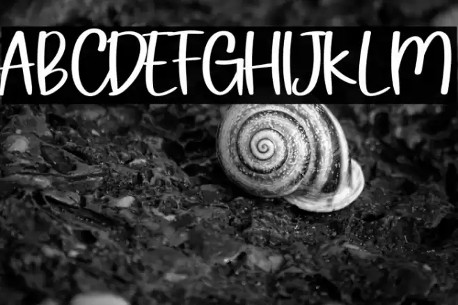 Hello Oktober Caratteri examples