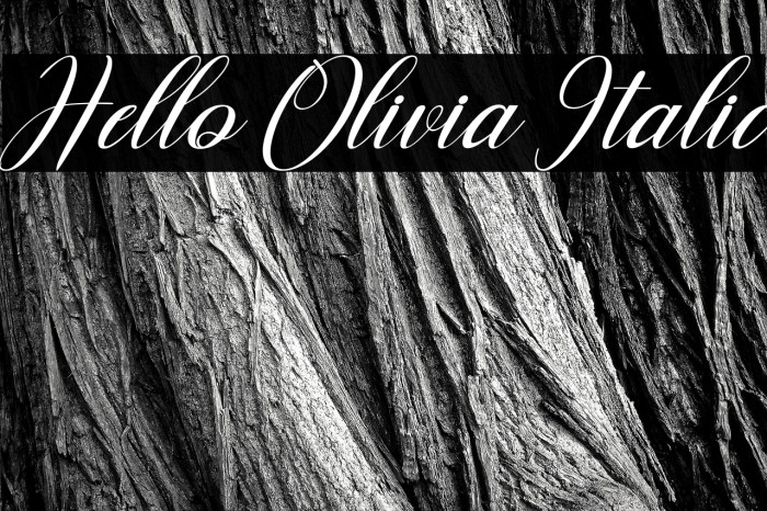 Hello Olivia Italic Example 1
