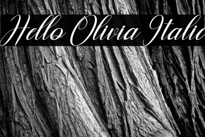 Hello Olivia Italic Font examples