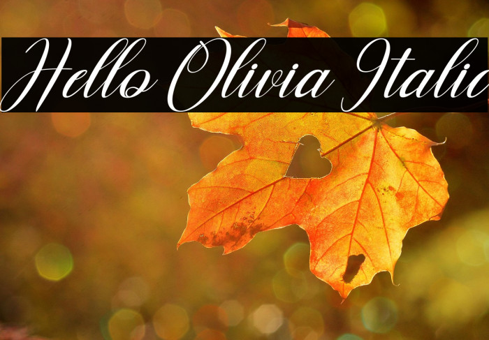 Hello Olivia Italic Example 3