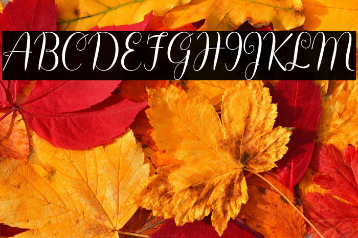 Hello Olivia Example 1