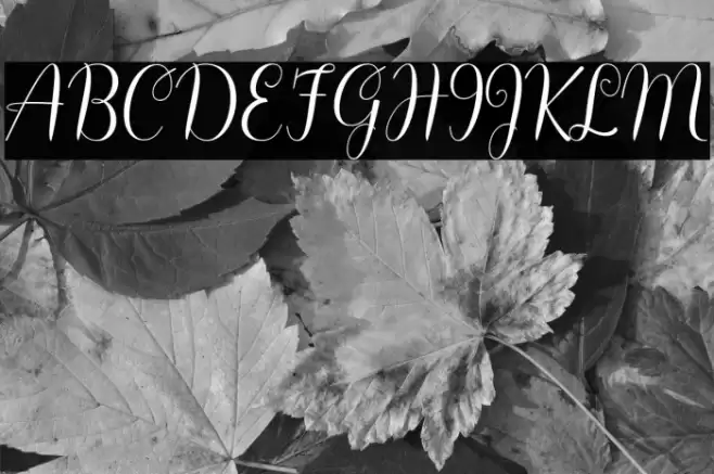 Hello Olivia Font examples