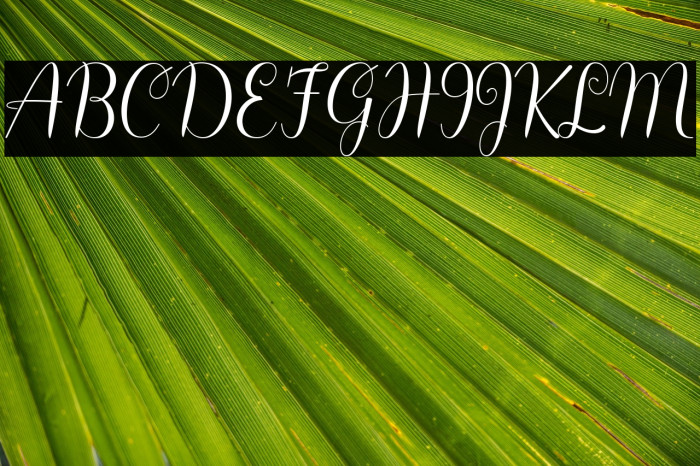 Hello Olivia Example 3