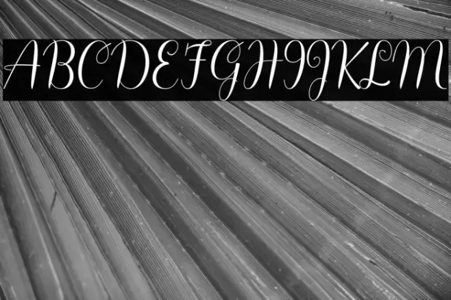 Hello Olivia Font examples