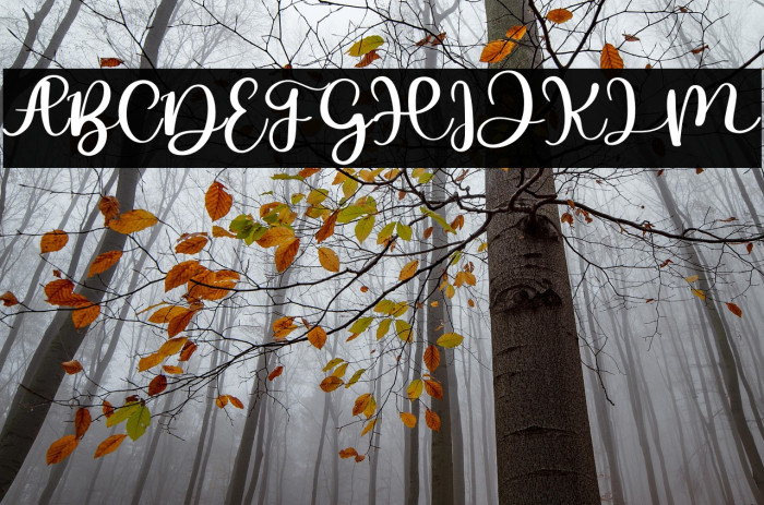 Hello Onyx Example 2