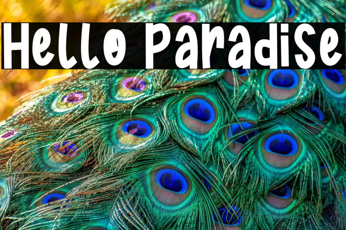 Hello Paradise Example 1